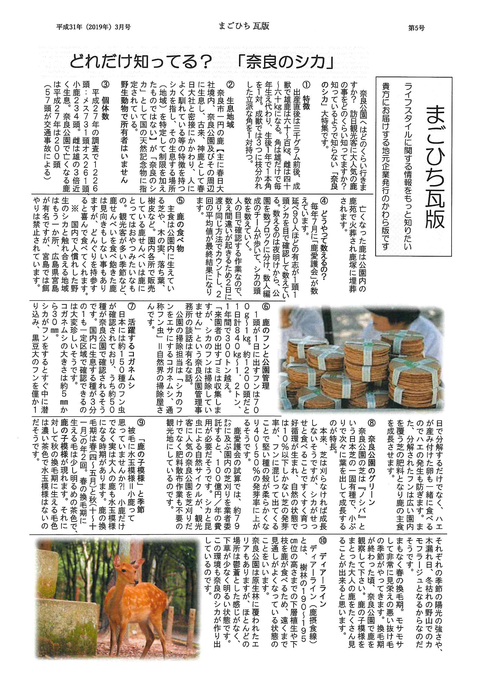 2019年3月　第5号　P.1