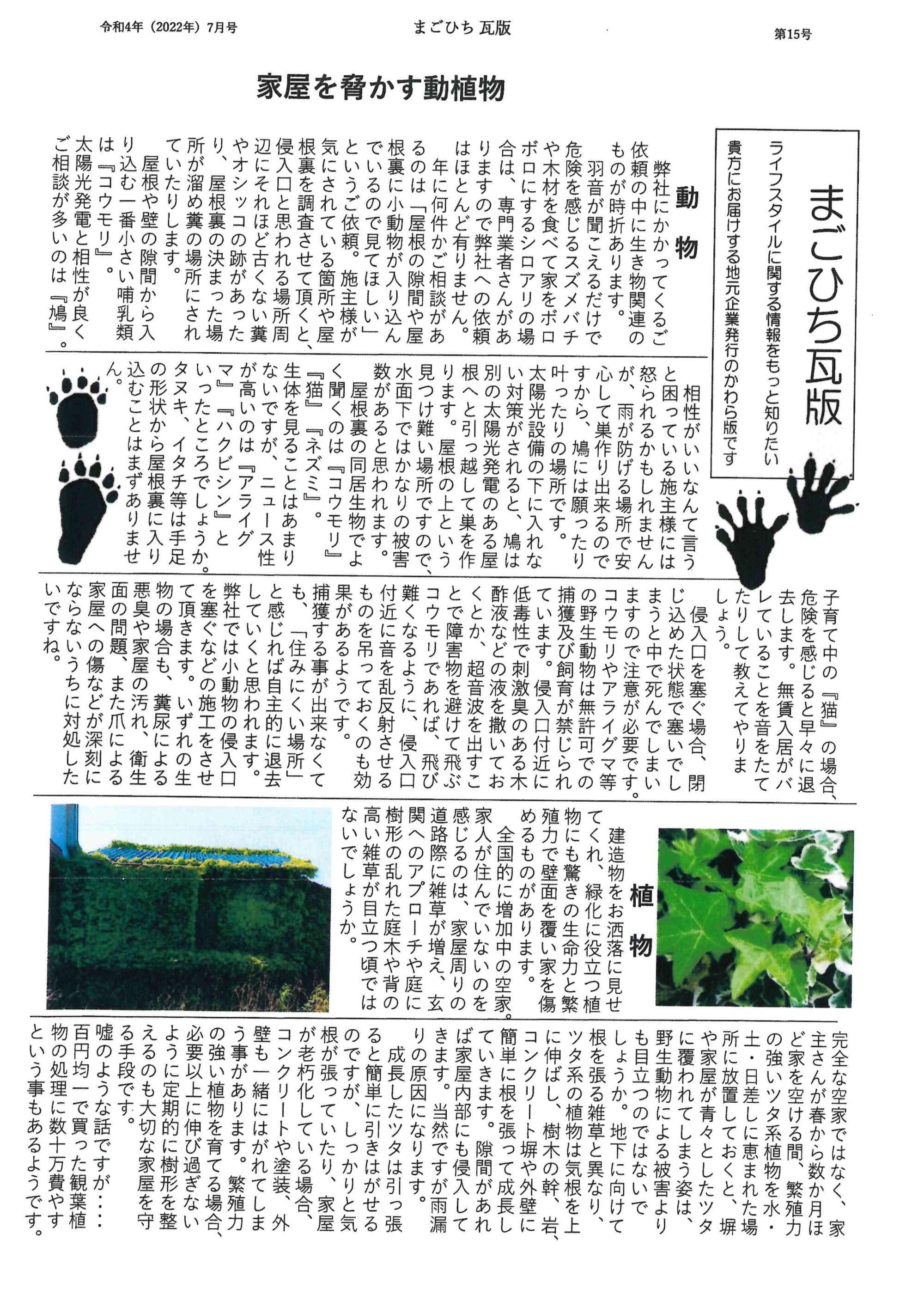 2022年7月　第15号　P.1