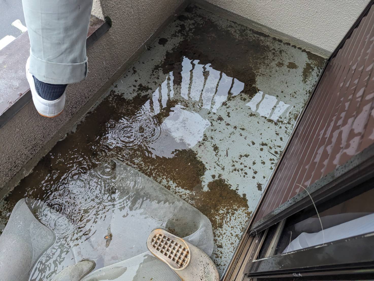 ベランダから　雨漏り